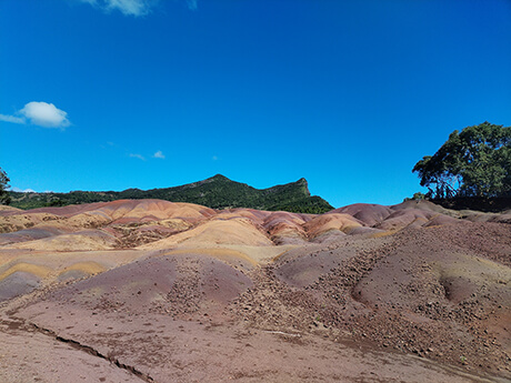 Desert image